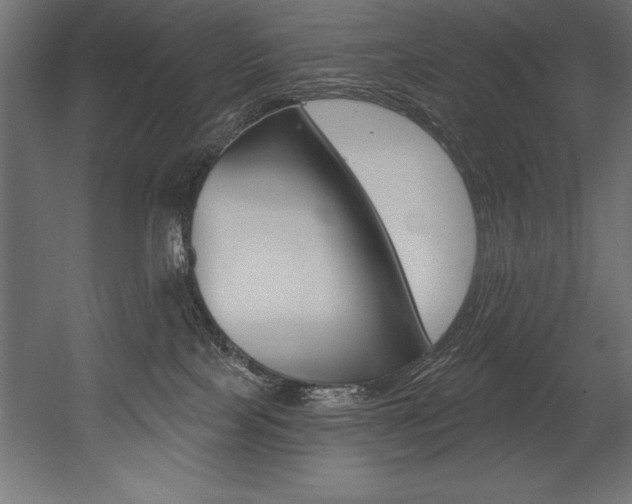 X0000054380089200507290908