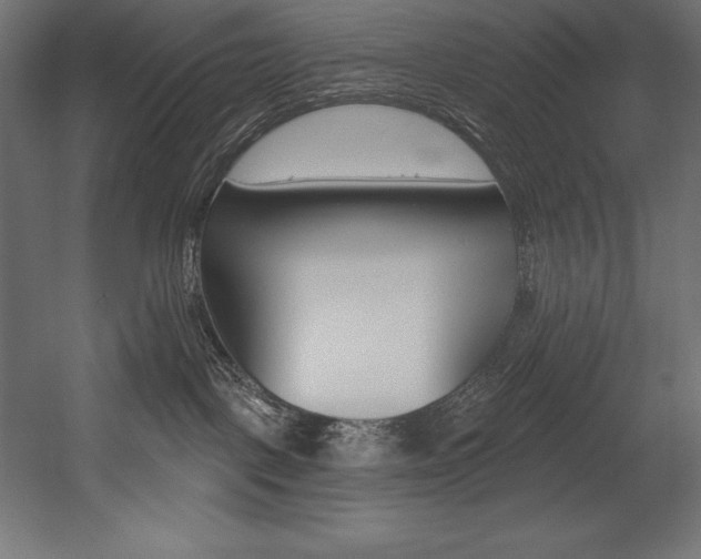 X0000054380093200507290908