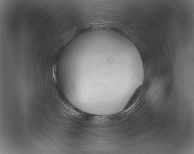 X0000054380094200507290908