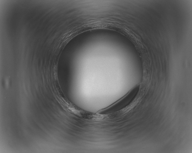 X0000054380096200507290908