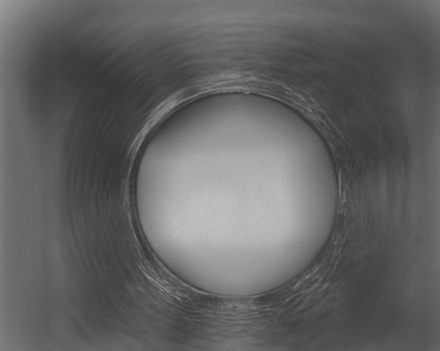 X0000054380099200507290907