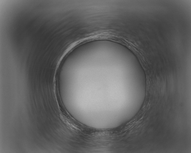X0000054380100200507290907