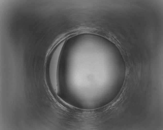 X0000054380101200507290907