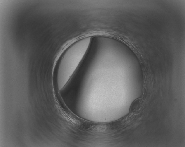 X0000054380104200507290907