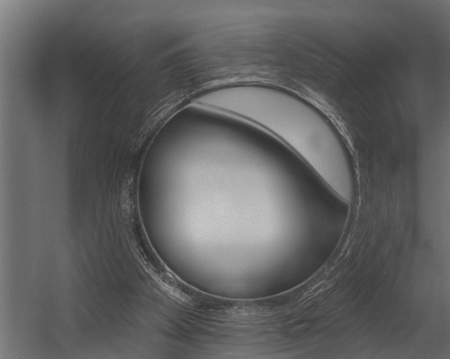 X0000054380105200507290907