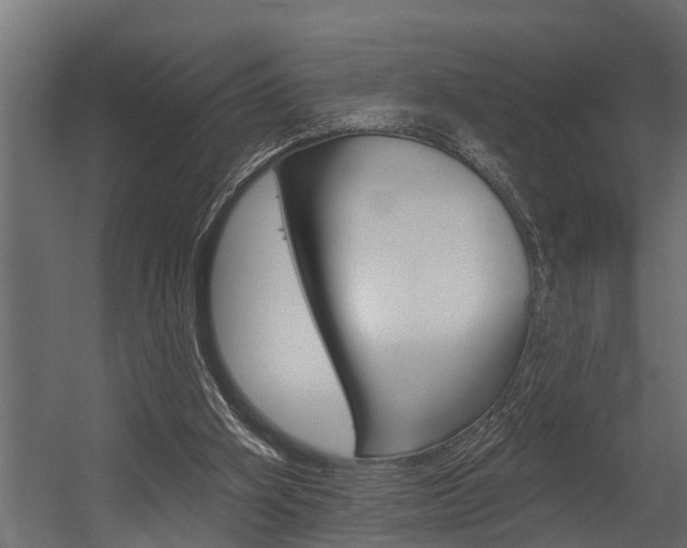 X0000054380106200507290907