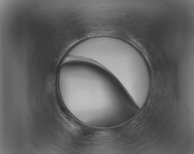 X0000054380107200507290907