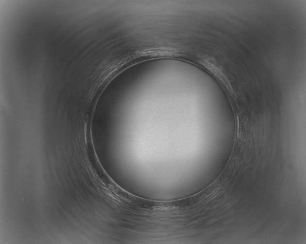 X0000054380109200507290907