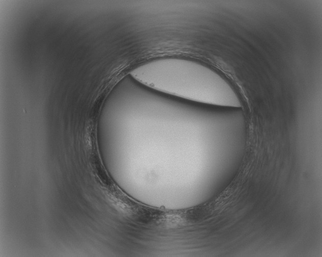 X0000054380114200507290907