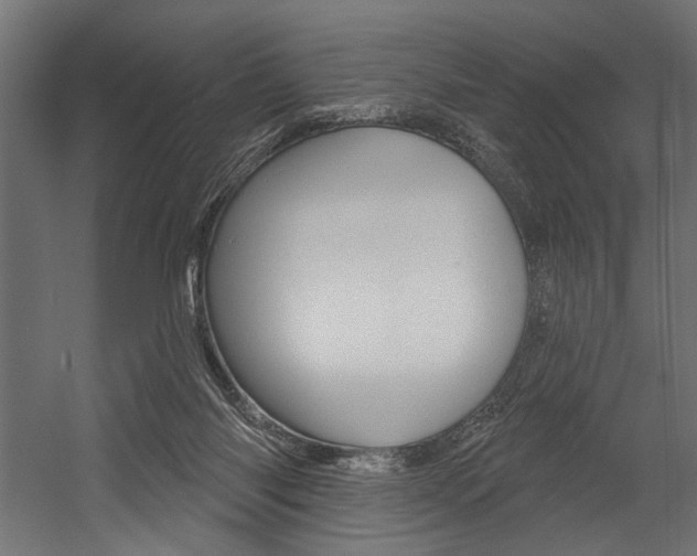 X0000054380118200507290907