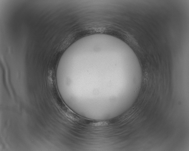 X0000054380122200507290907