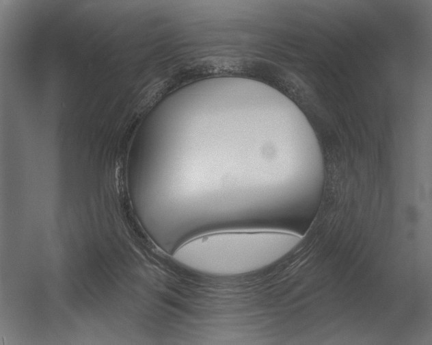 X0000054380123200507290907