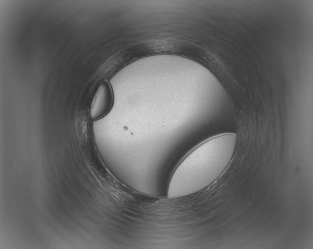 X0000054380124200507290907