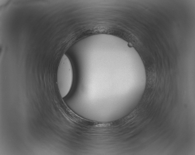 X0000054380126200507290907