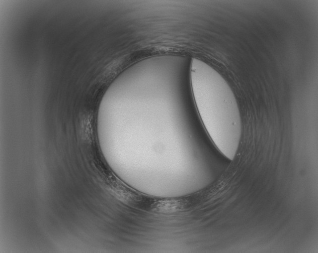 X0000054380127200507290907