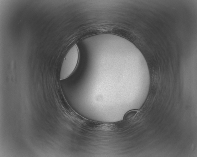 X0000054380128200507290907