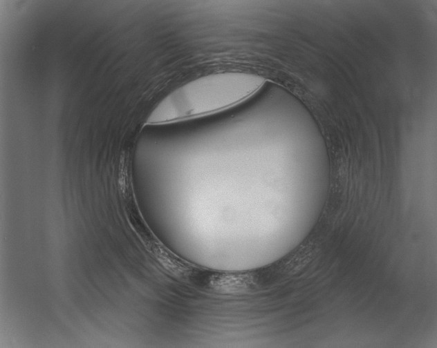 X0000054380129200507290907