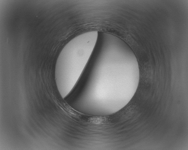 X0000054380131200507290907