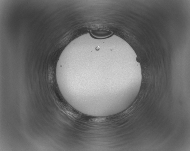 X0000054380132200507290907