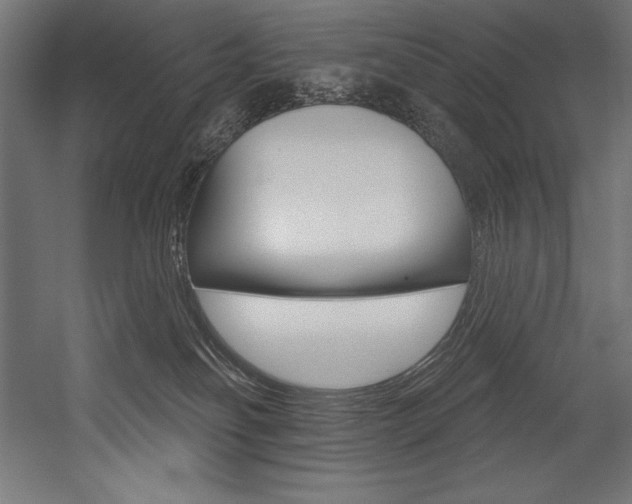 X0000054380134200507290907