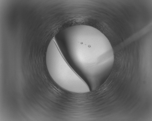 X0000054380135200507290907
