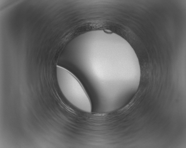 X0000054380136200507290907