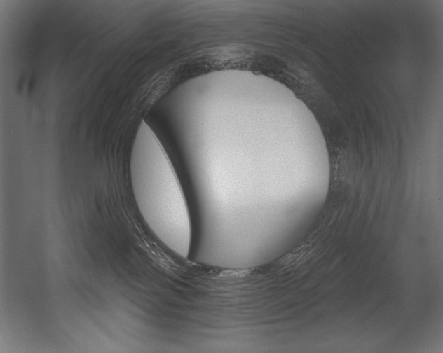 X0000054380138200507290907