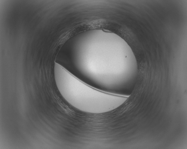 X0000054380139200507290907