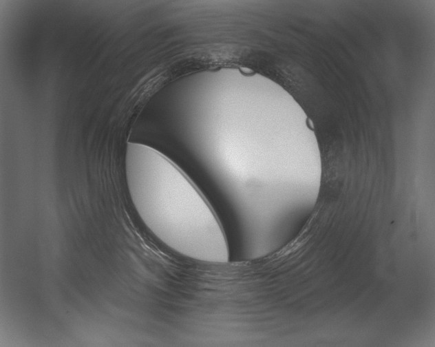 X0000054380140200507290907