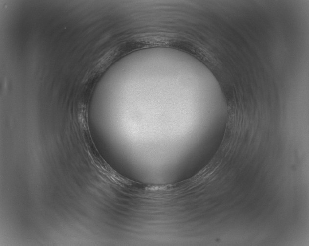 X0000054380141200507290906