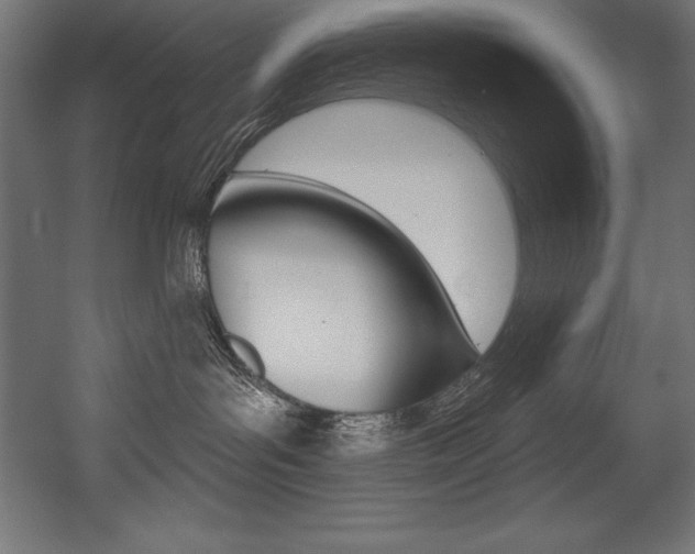X0000054380143200507290906