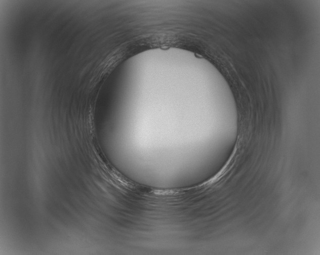 X0000054380144200507290906