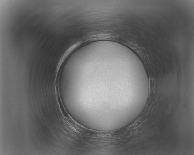 X0000054380147200507290906