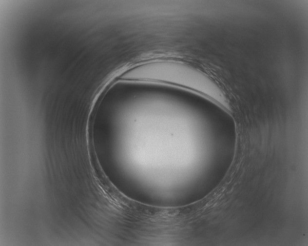 X0000054380148200507290906