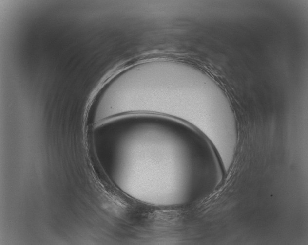 X0000054380150200507290906