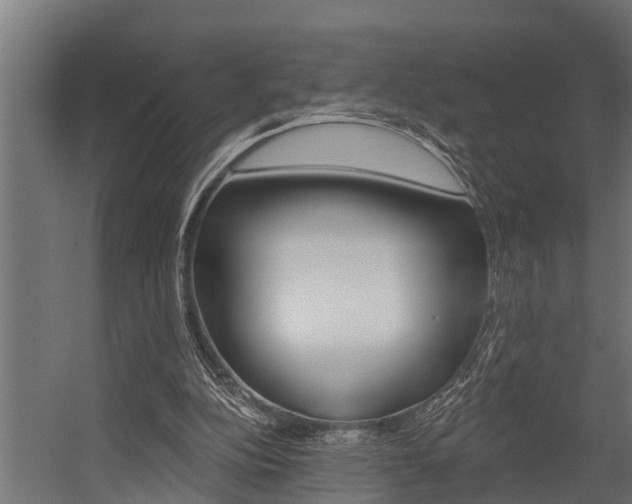 X0000054380152200507290906