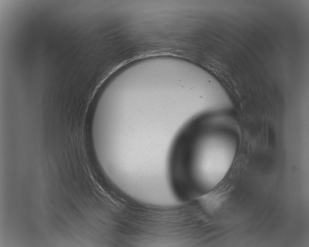X0000054380156200507290906