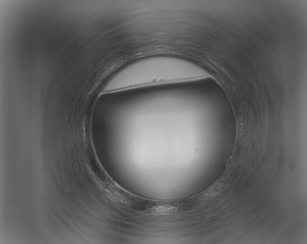 X0000054380158200507290906
