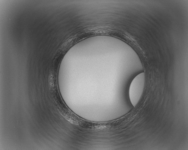 X0000054380161200507290906