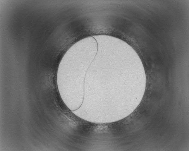 X0000054380162200507290906