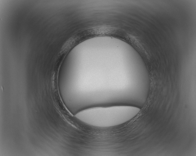 X0000054380163200507290906