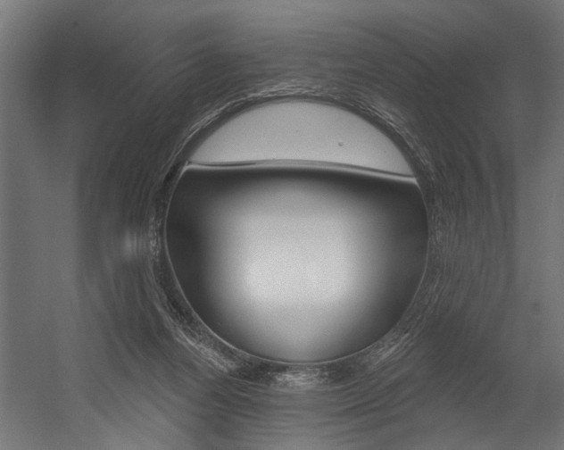 X0000054380164200507290906