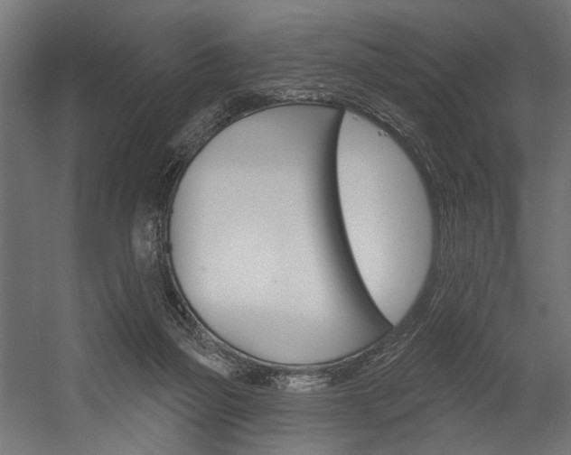 X0000054380165200507290906
