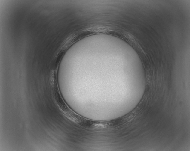 X0000054380167200507290906