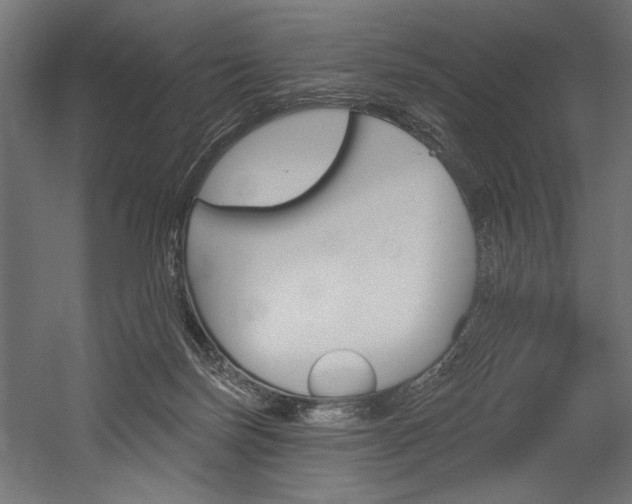 X0000054380171200507290906