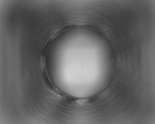X0000054380172200507290906