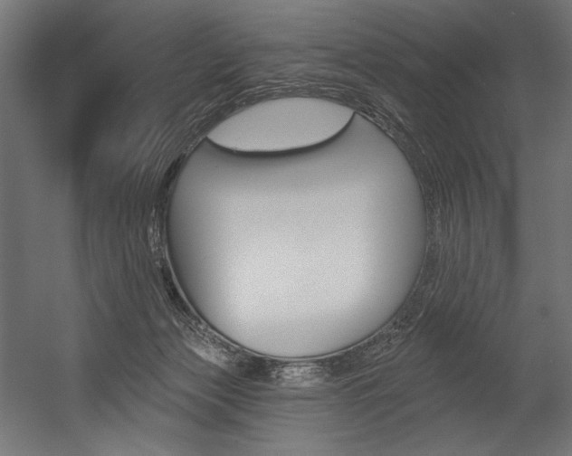 X0000054380173200507290906