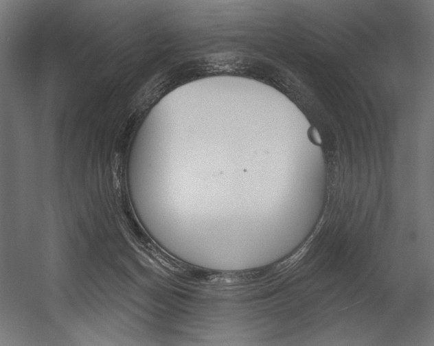X0000054380174200507290906