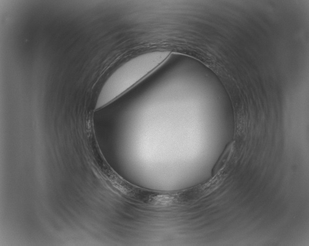 X0000054380176200507290906