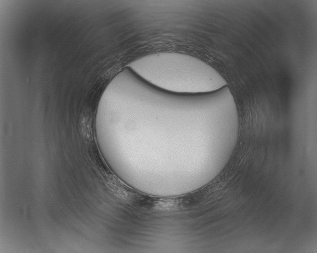 X0000054380177200507290906